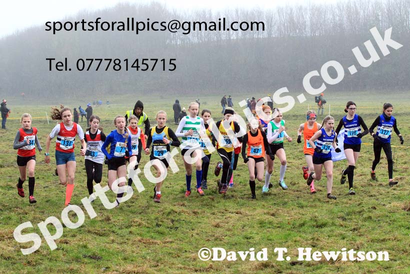 Girls under-13s 2022 North Eastern Harrier League, Thornley Farm, Peterlee, County Durham. Photo: David T. Hewitson/Sports for All Pics